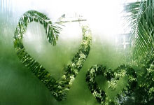 包含欧联赛程吃紧，纽卡斯尔转会期复出首秀，球迷炸锅，球队文化再被提及的词条